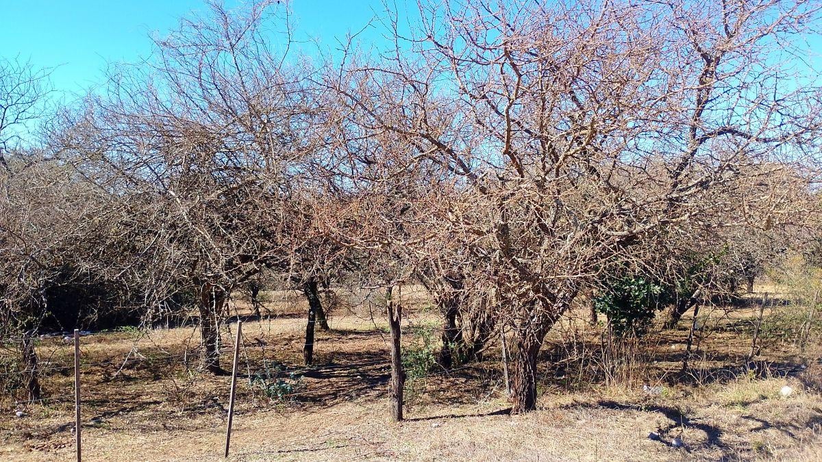 Foto de Lote en Santa Mónica, Zona la Vaquita - 756m² - Oportunidad, imagen 5