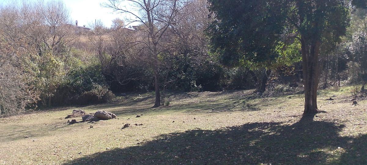 Foto de LOTES - VENTA EN BLOQUE 1.100 m² con Fondo de Arroyo en Zona Urbana de, imagen 1