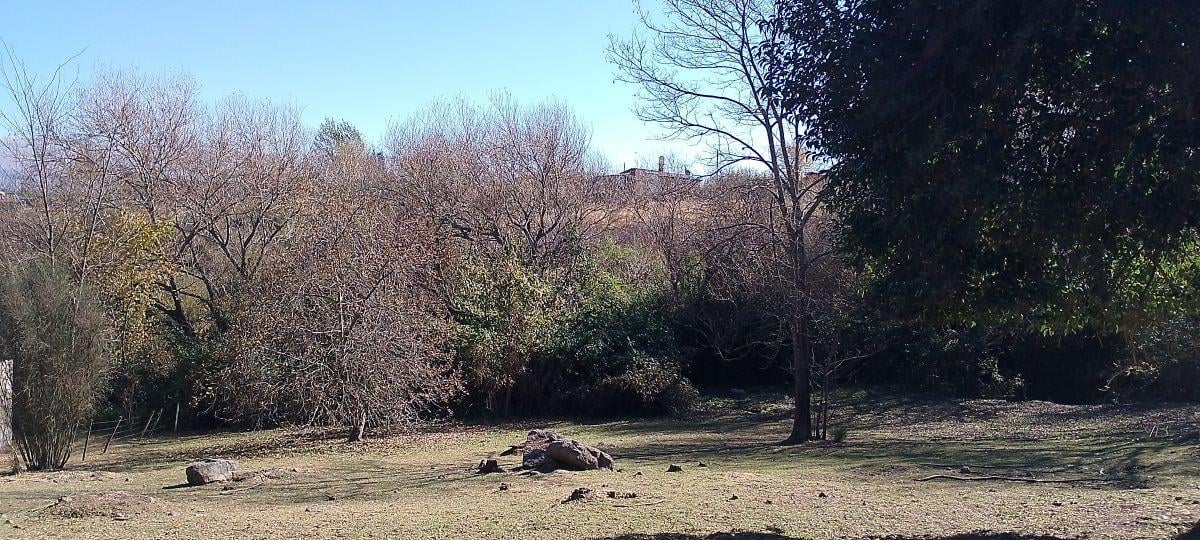 Foto de LOTE EN VENTA EN YACANTO, imagen 5