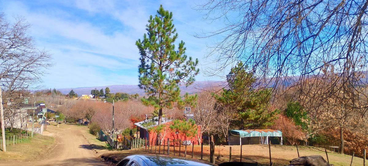 Foto de LOTE EN VENTA EN YACANTO, imagen 1