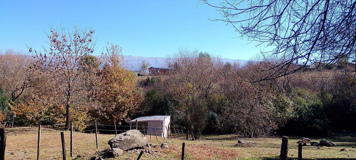Foto de LOTE EN VENTA EN YACANTO, imagen 4