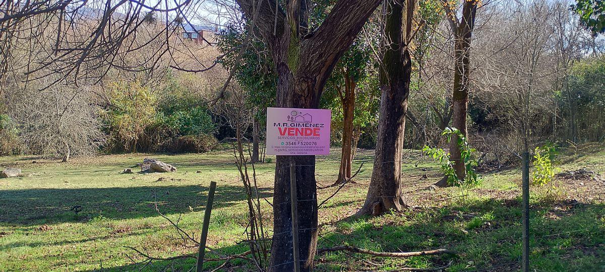 Foto de LOTE EN VENTA EN YACANTO, imagen 3