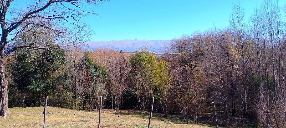 Foto de LOTE EN VENTA-YACANTO DE CALAMUCHITA, imagen 3