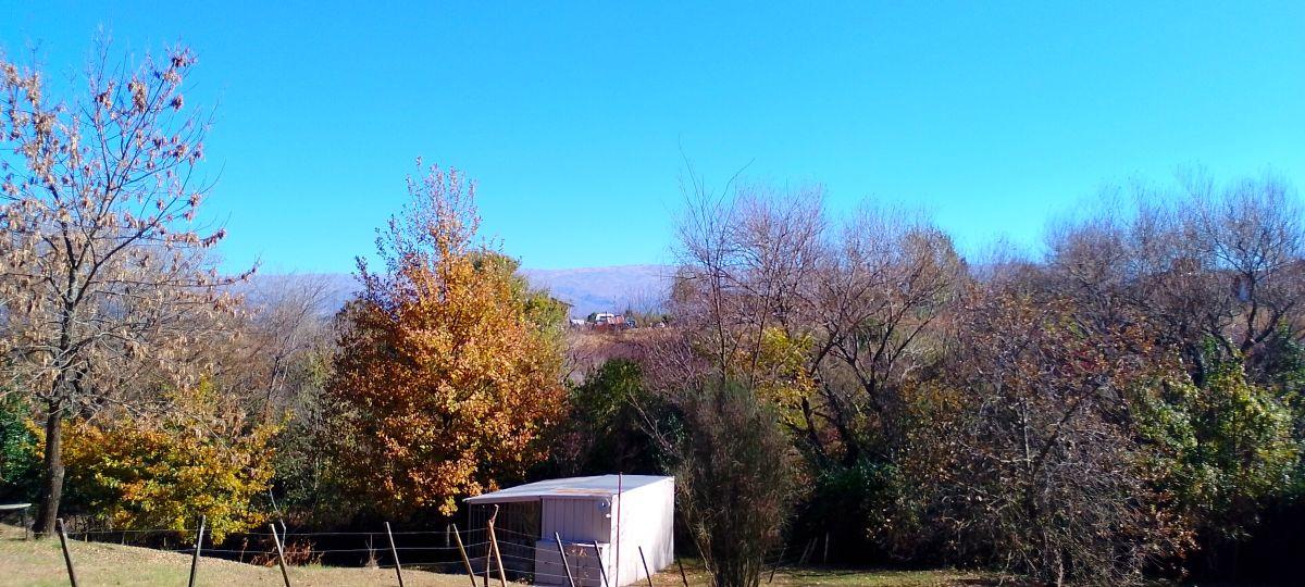 Foto de LOTE EN VENTA-YACANTO DE CALAMUCHITA, imagen 2