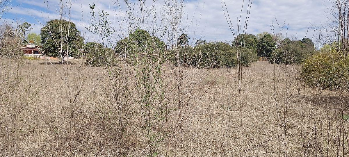 Foto de Lote Medial en Santa Mónica — ZONA MATE DE LUNA, imagen 1