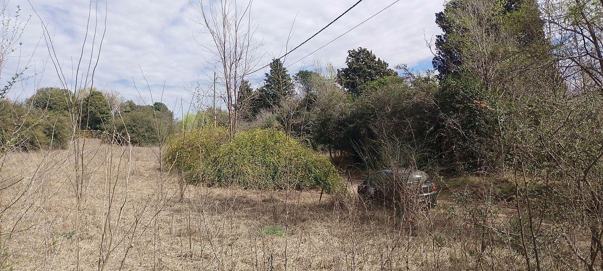 Foto de Lote Medial en Santa Mónica — ZONA MATE DE LUNA, imagen 3