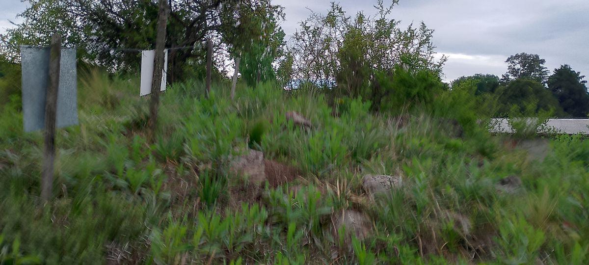 Foto de Lote de 680 m² en Santa Mónica con Vista, imagen 2