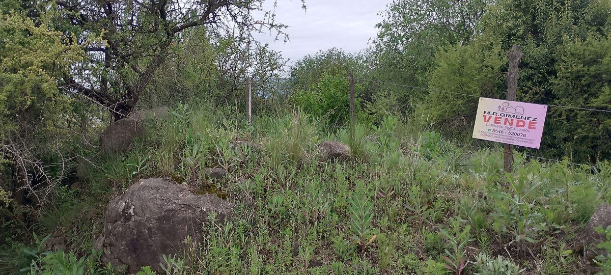 Foto de Lote de 680 m² en Santa Mónica con Vista, imagen 5