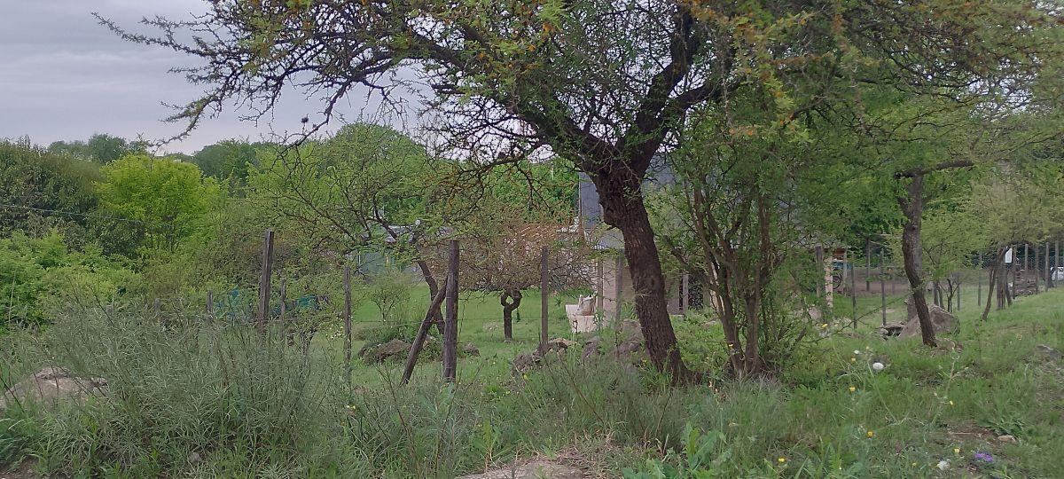 Foto de Lote de 680 m² en Santa Mónica con Vista, imagen 4