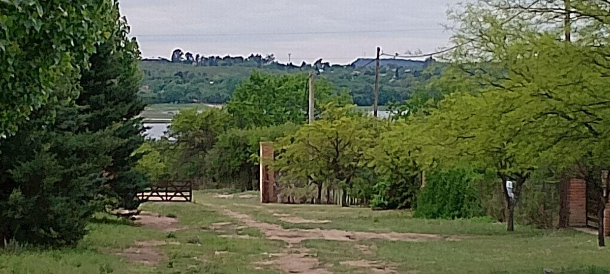 Foto de LOTE EN VENTA-SAN IGNACIO-CALAMUCHITA, imagen 3