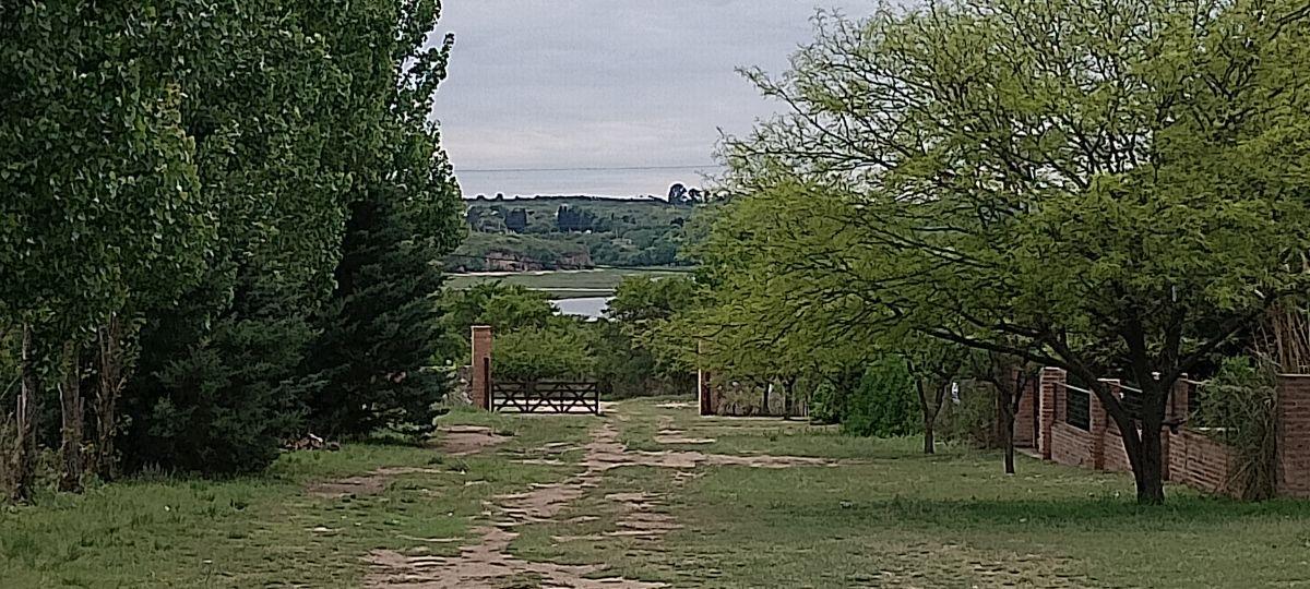Foto de LOTE EN VENTA-SAN IGNACIO-CALAMUCHITA, imagen 1