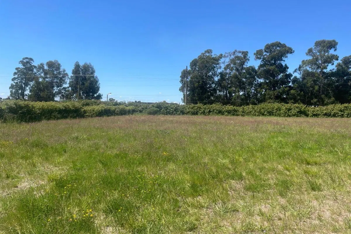 Terreno de 32,5m x 65m (2112m2) en Valle Amilcar, Tandil 4