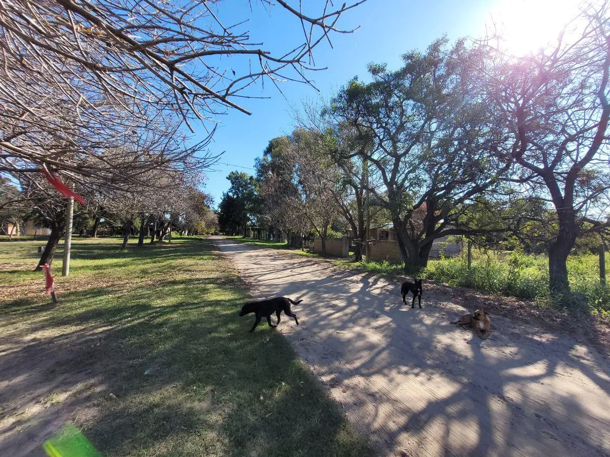 Lote a la Venta en Colastiné, frente al Club Velocidad y Resistencia. 8