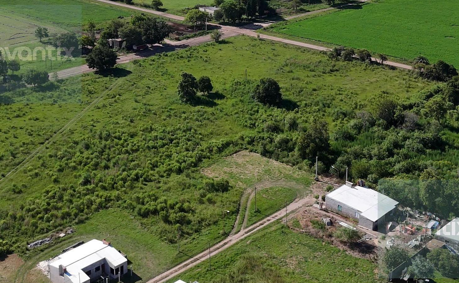 Foto de TERRENO DE 2000 m² CON 129 LOTES - HUMBERTO PRIMO, imagen 4