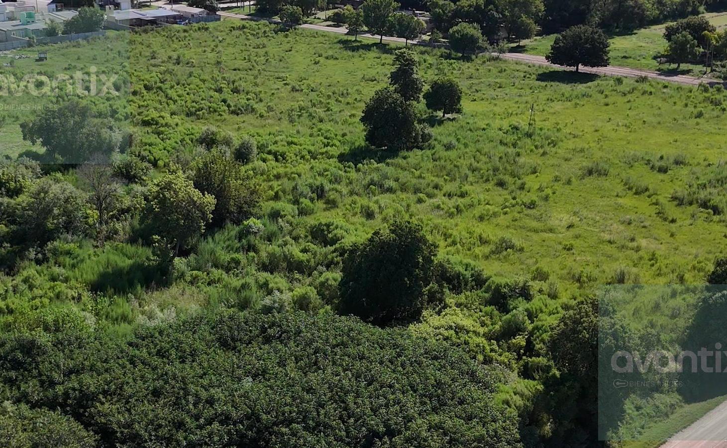 Foto de TERRENO DE 2000 m² CON 129 LOTES - HUMBERTO PRIMO, imagen 3