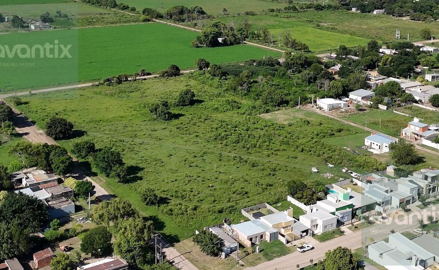 Foto de TERRENO DE 2000 m² CON 129 LOTES - HUMBERTO PRIMO, imagen 1