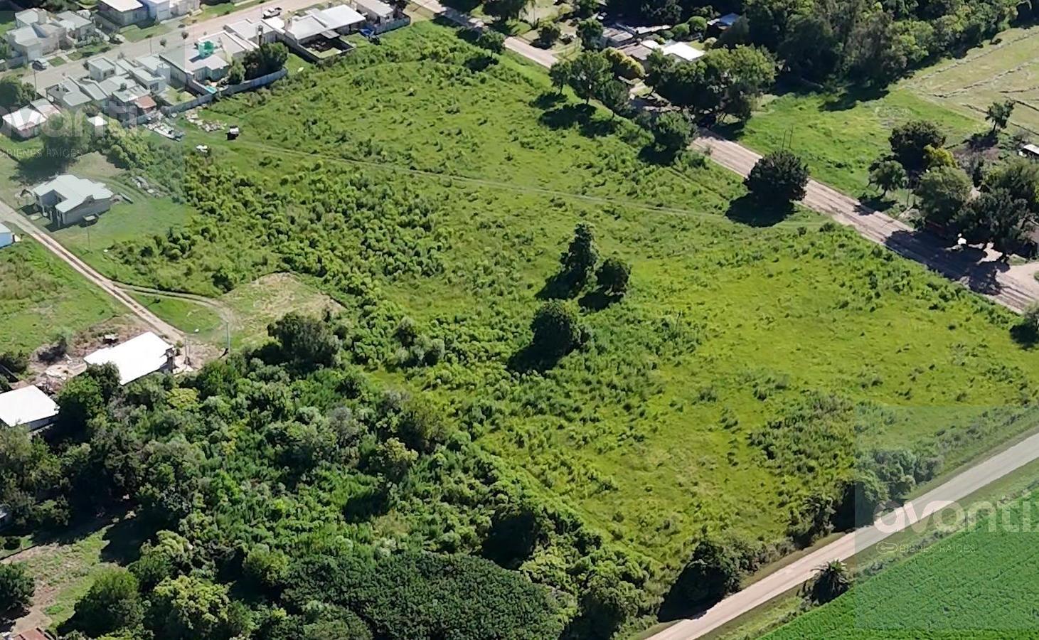 Foto de TERRENO DE 2000 m² CON 129 LOTES - HUMBERTO PRIMO, imagen 2