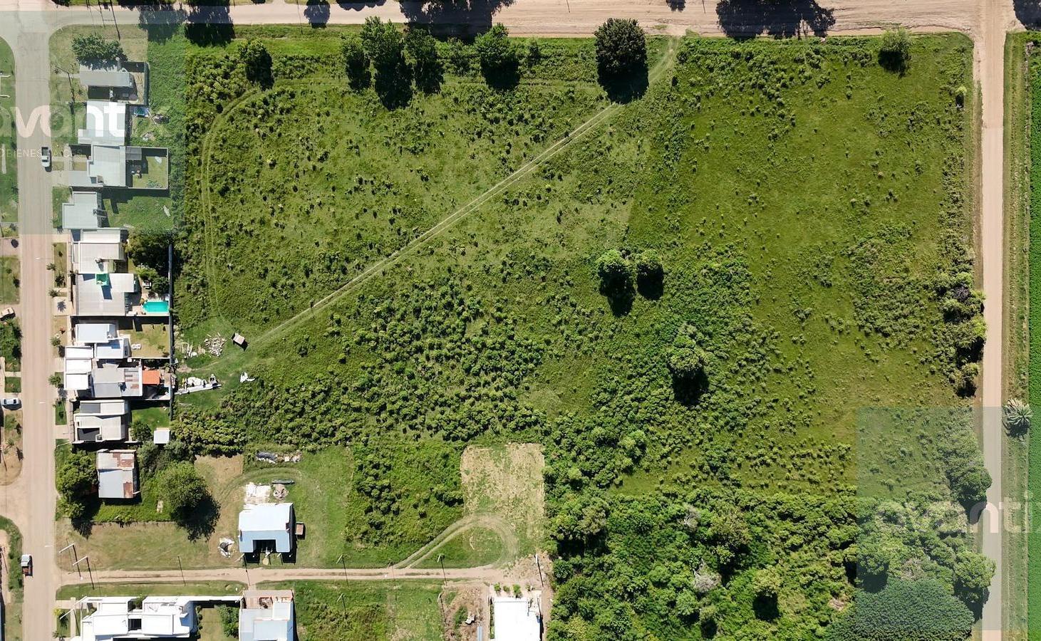 Foto de TERRENO DE 2000 m² CON 129 LOTES - HUMBERTO PRIMO, imagen 5