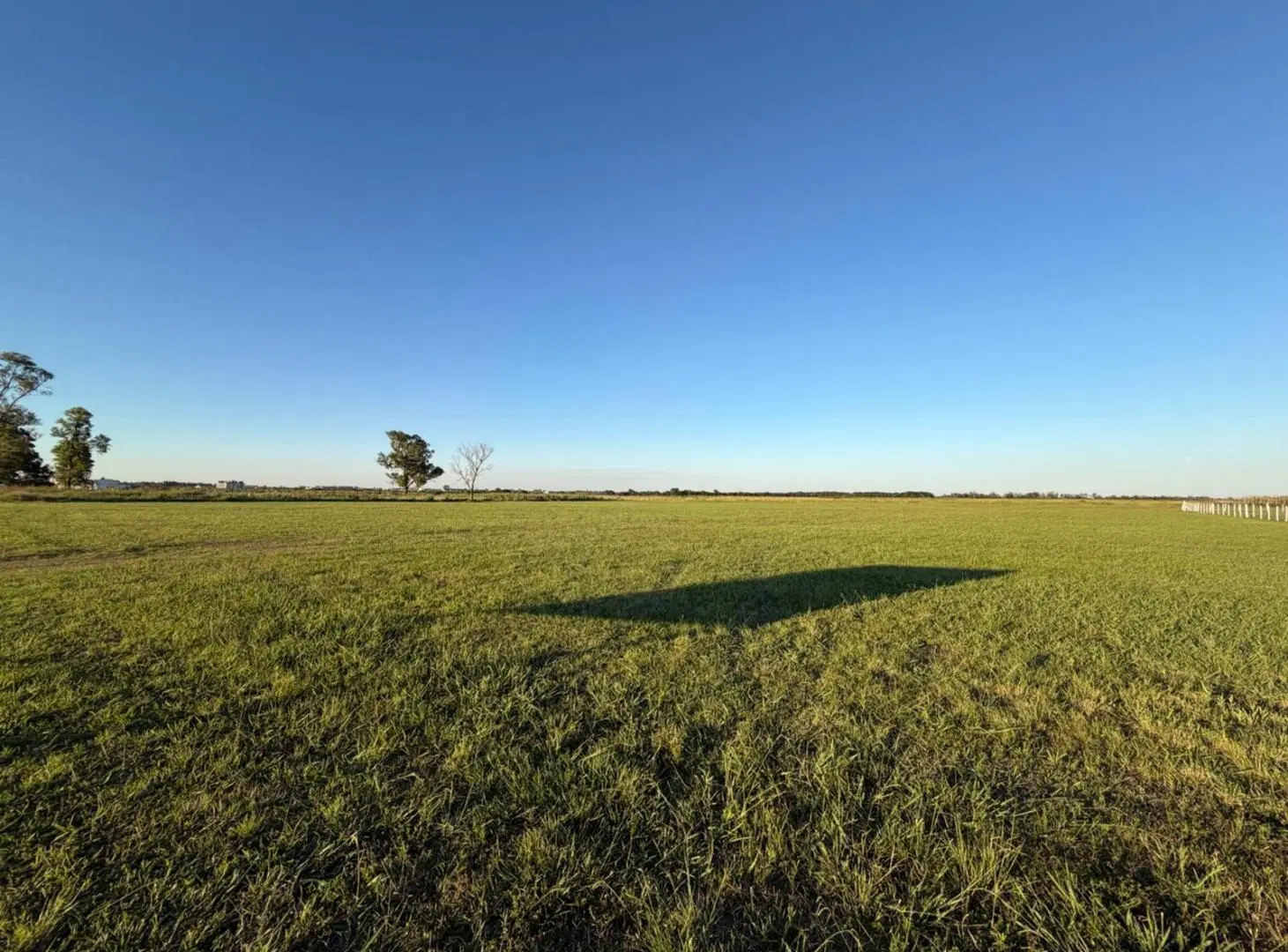 Una hectárea a la venta en Sunchales - USD 110.000 4