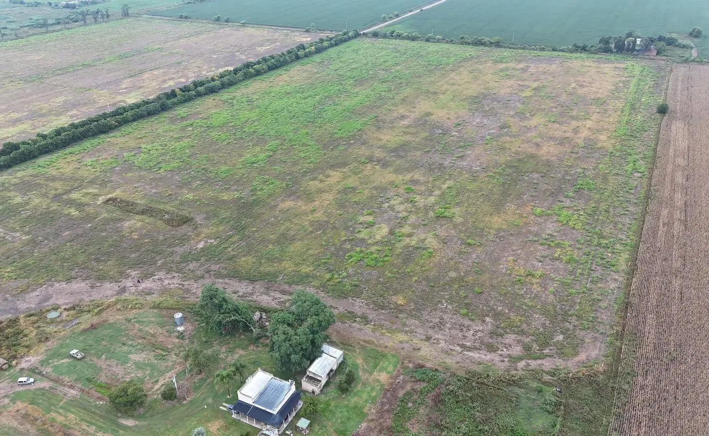 Campo de alta productividad en Rafaela 3