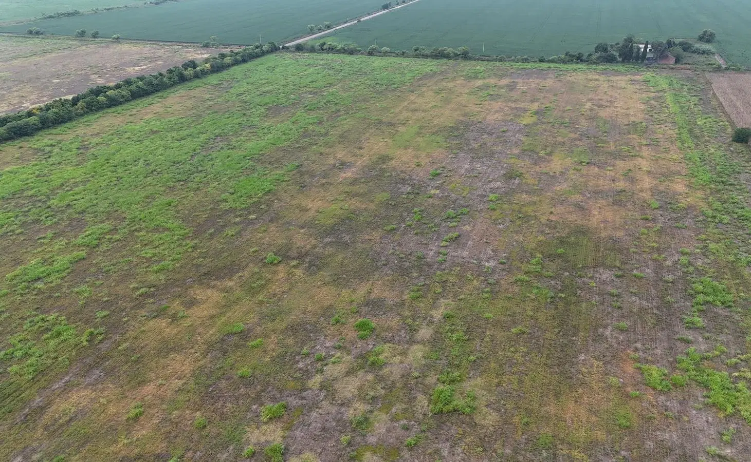 Campo de alta productividad en Rafaela 2