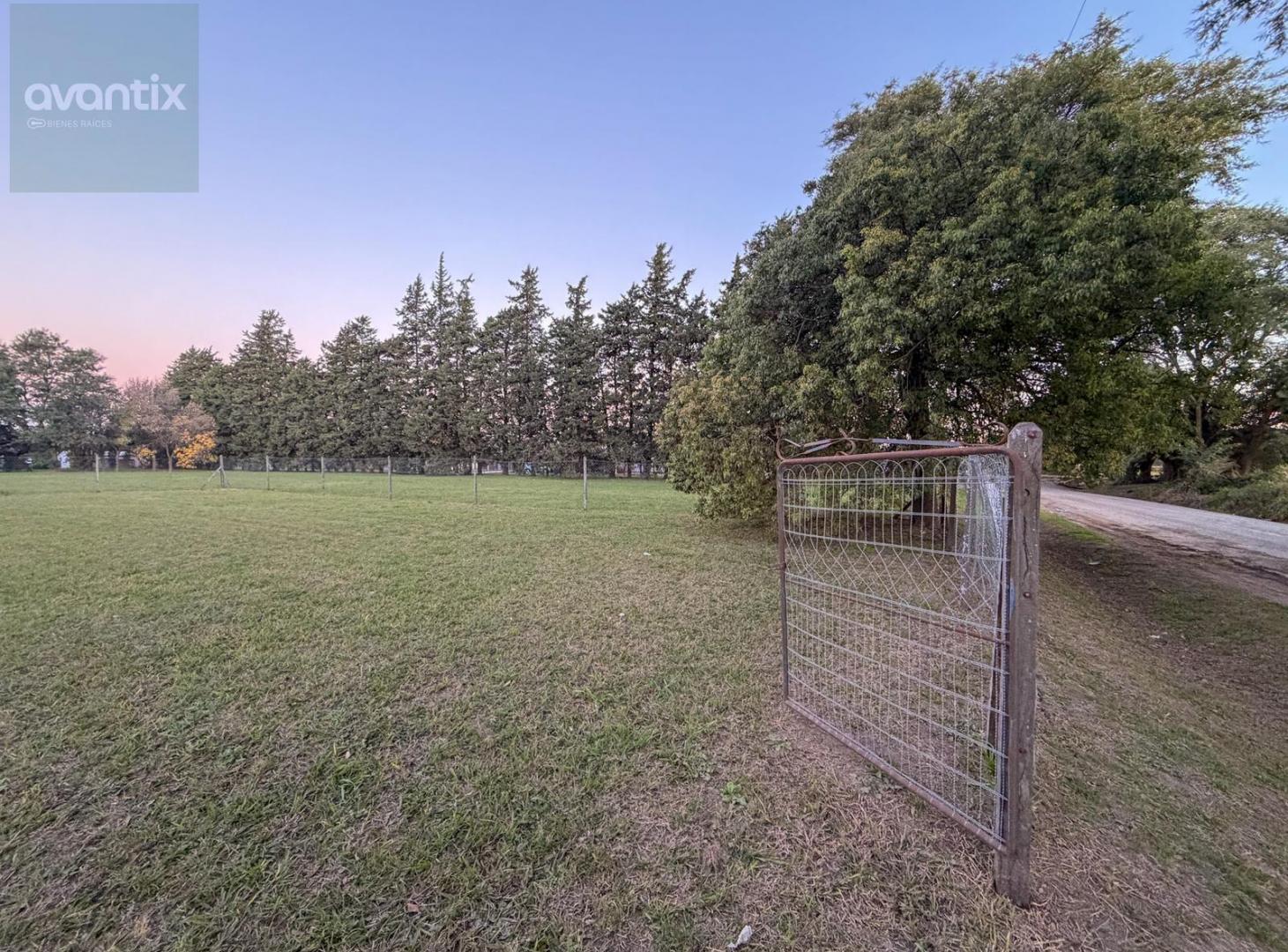 Foto de Terreno en Susana, imagen 4