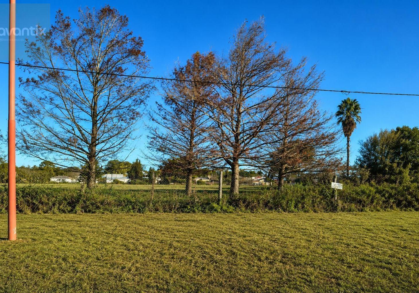 Foto de Lote de 550 m² en Nuevo Torino, imagen 1