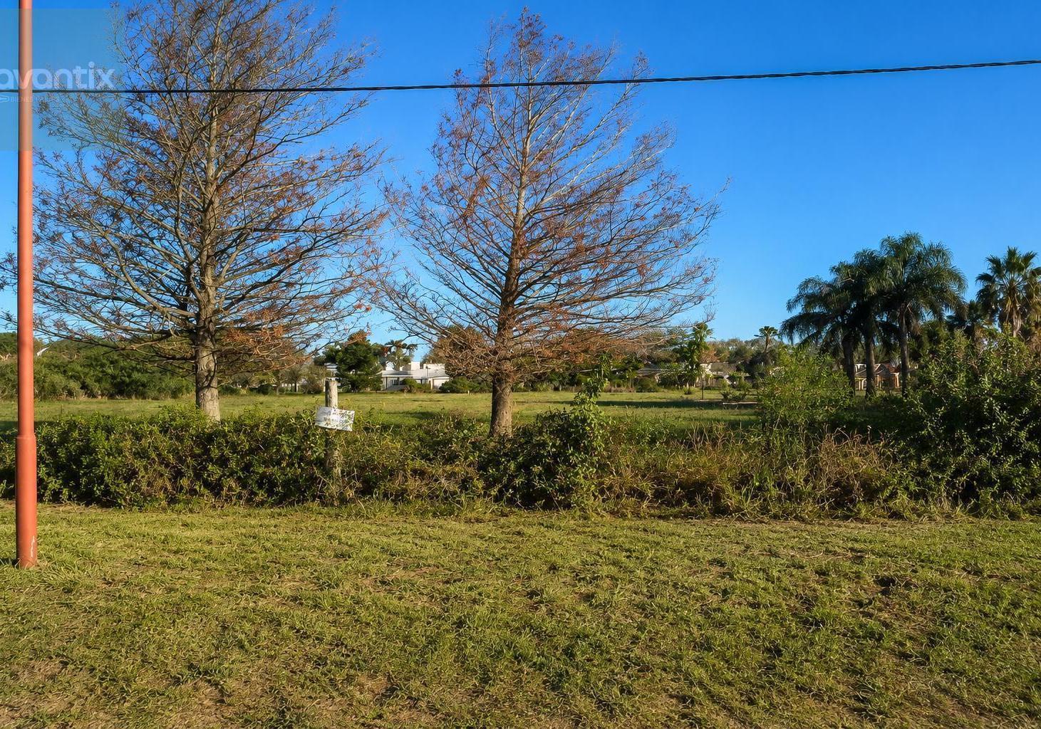 Foto de Lote de 550 m² en Nuevo Torino, imagen 3