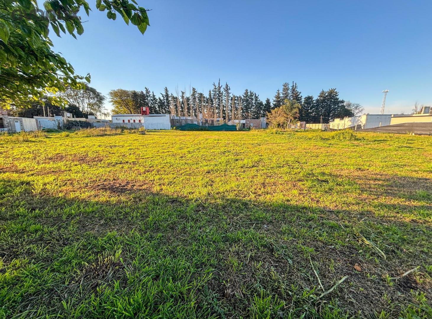 Foto de Terreno en Susana, imagen 4