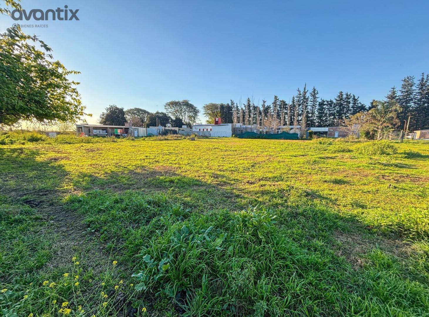 Foto de Terreno en Susana, imagen 3