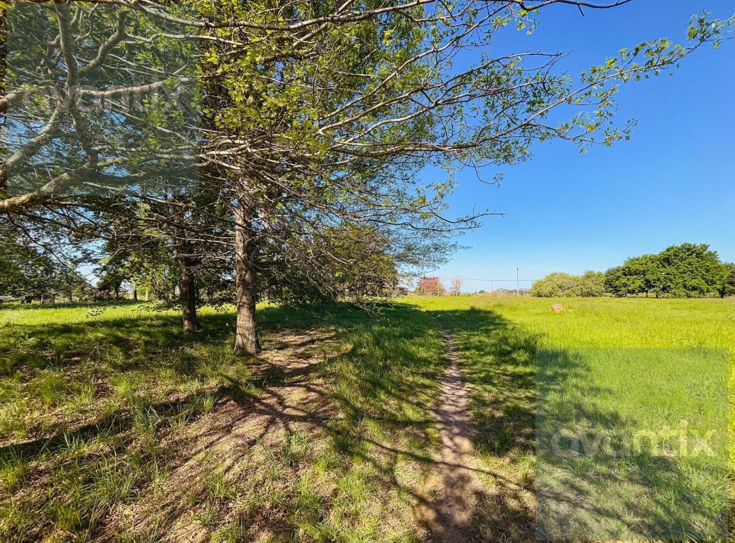 Foto de Lote 600 m2 en Nuevo Torino, imagen 4