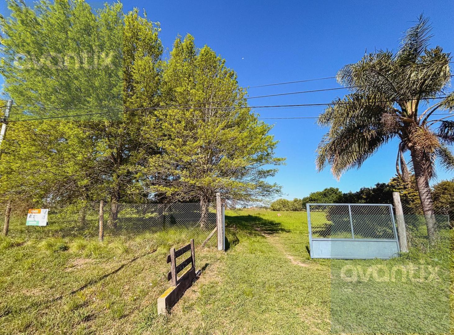 Foto de Lote 600 m2 en Nuevo Torino, imagen 2