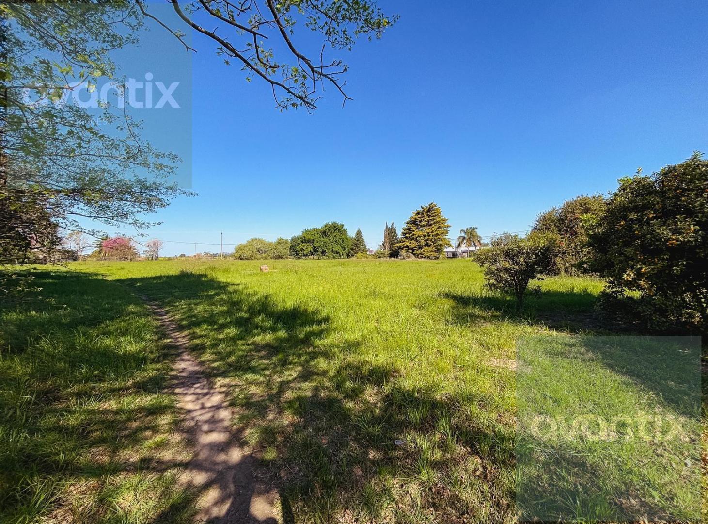 Foto de Lote 600 m2 en Nuevo Torino, imagen 5