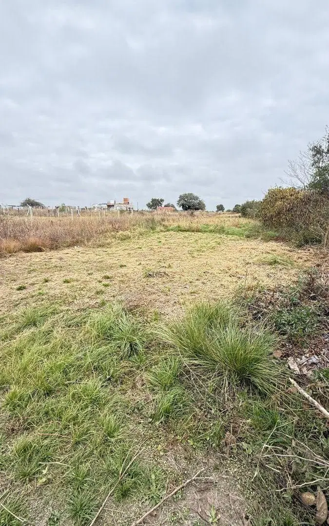 VENTA TERRENO LOMAS DE ANISACATE 2