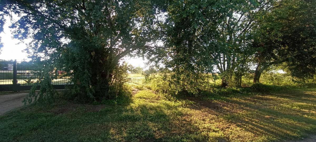 Oportunidad Única: 43.330 m² Pegado a Córdoba Capital 5