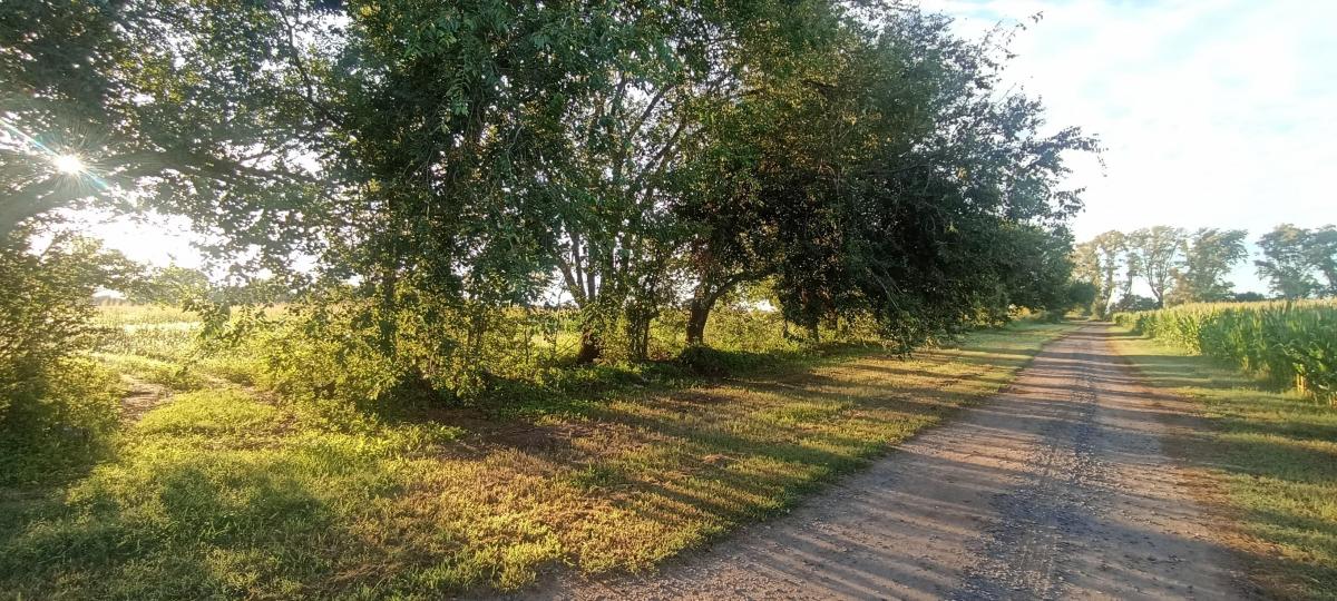 Oportunidad Única: 43.330 m² Pegado a Córdoba Capital 4