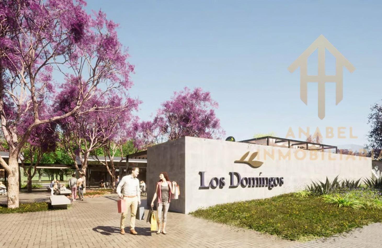 Foto de Lotes Los Domingos Etapa 1, imagen 1