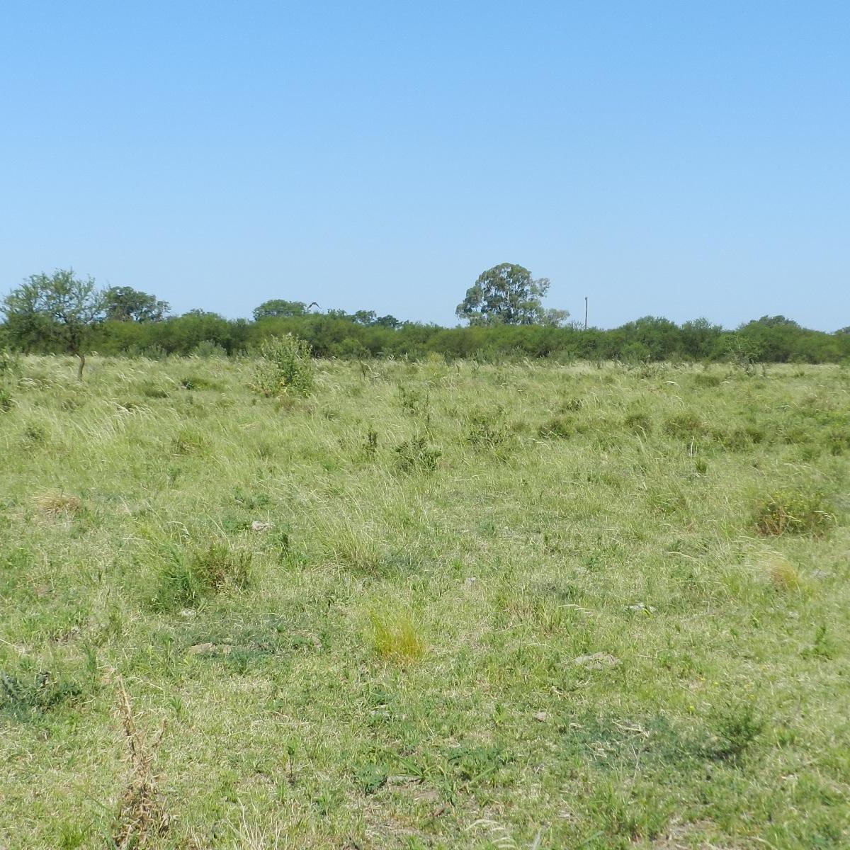 Venta Campo Coronda 47 Ha 1