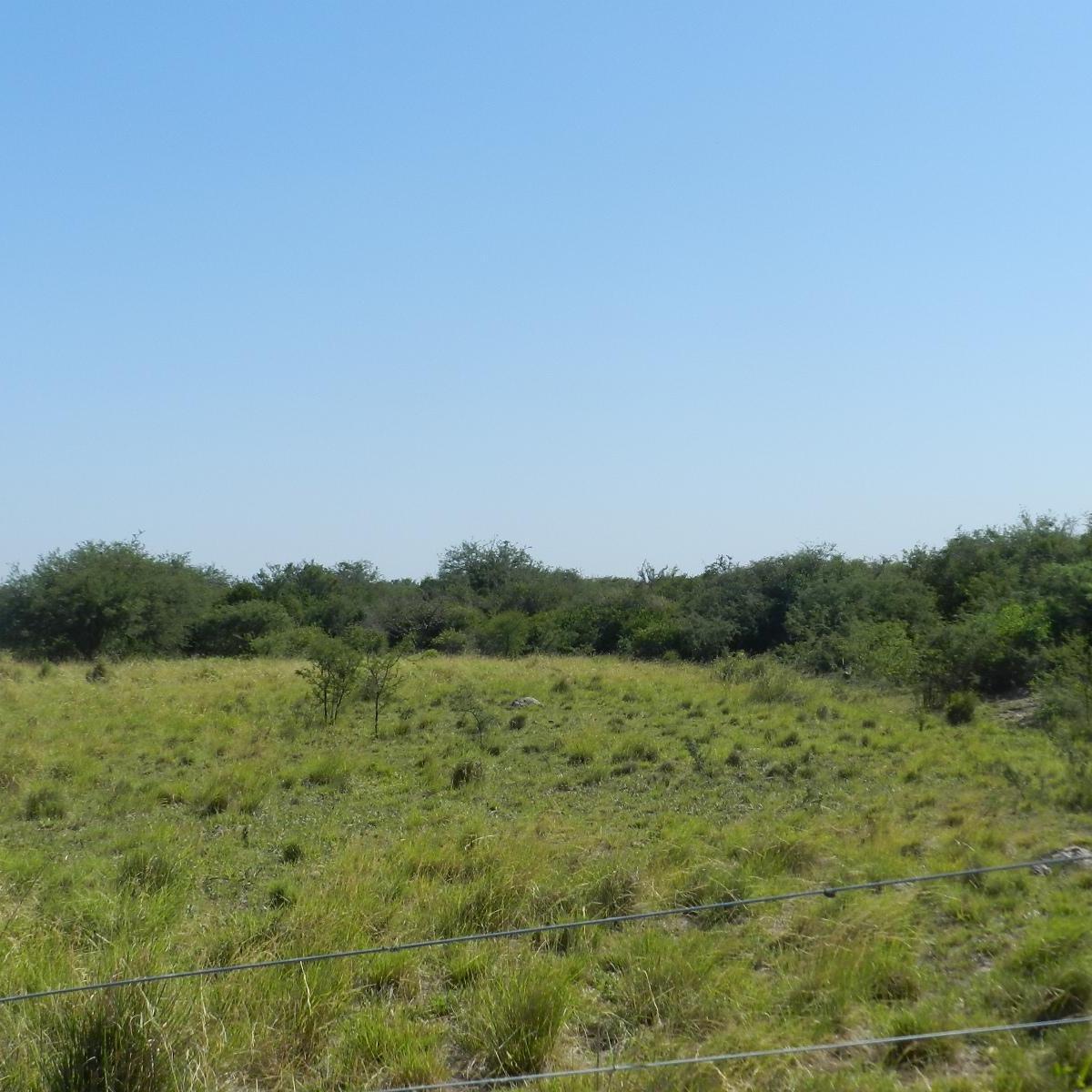 Venta Campo Coronda 47 Ha 5