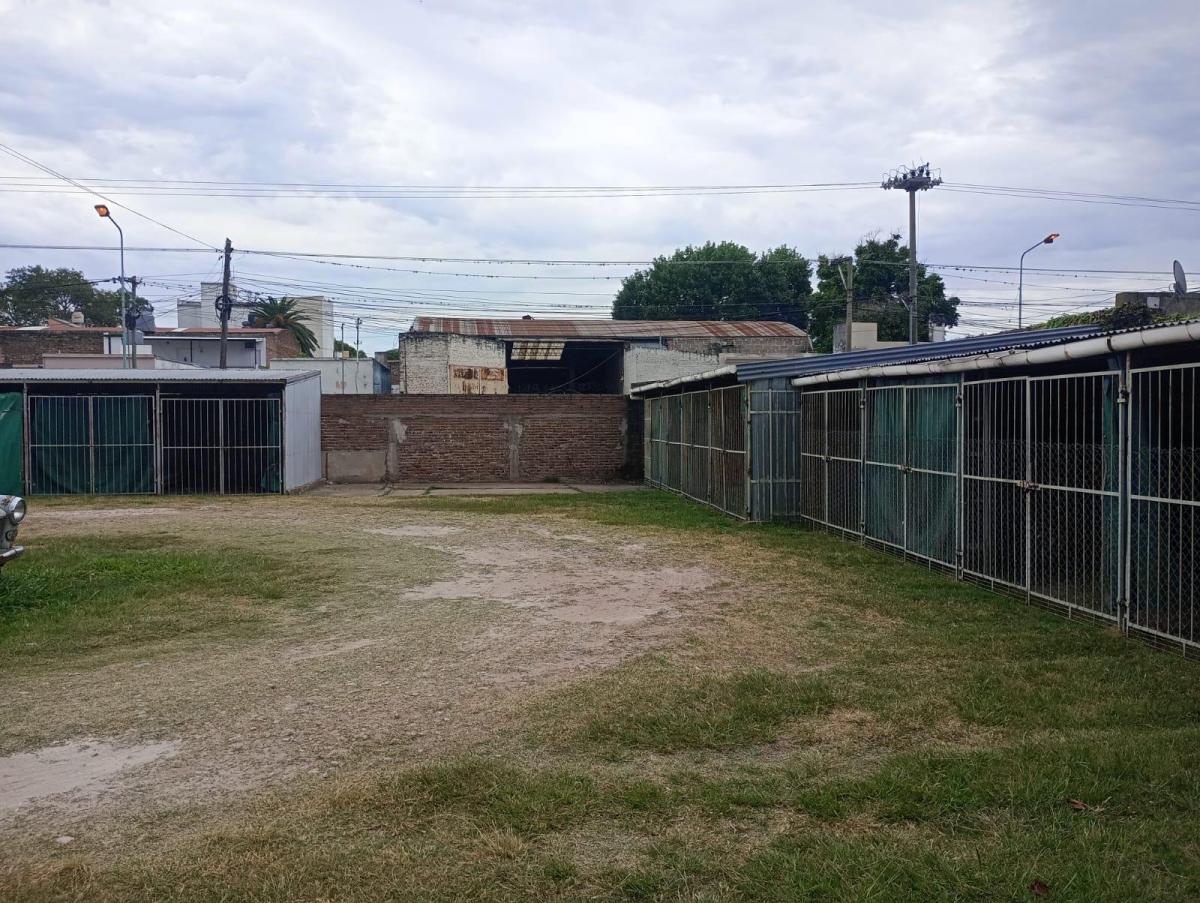 Gran Terreno CENTRO SANTO TOME Gaboto 2400