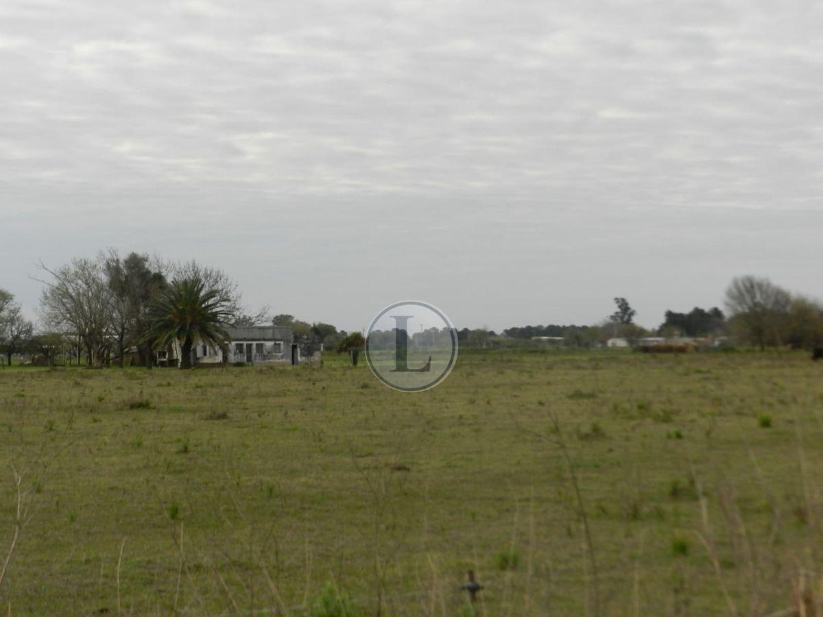 Foto de Venta Campo 5ha , Av. Las Baleares , Santo tome, imagen 2