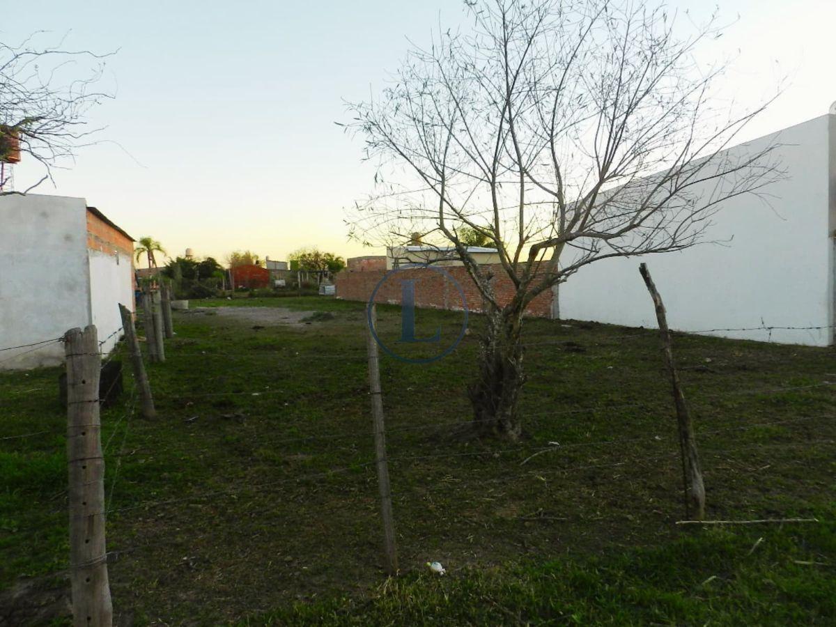 Foto de Venta Lote 12x43 Tembe I Pora Sauce viejo, imagen 4