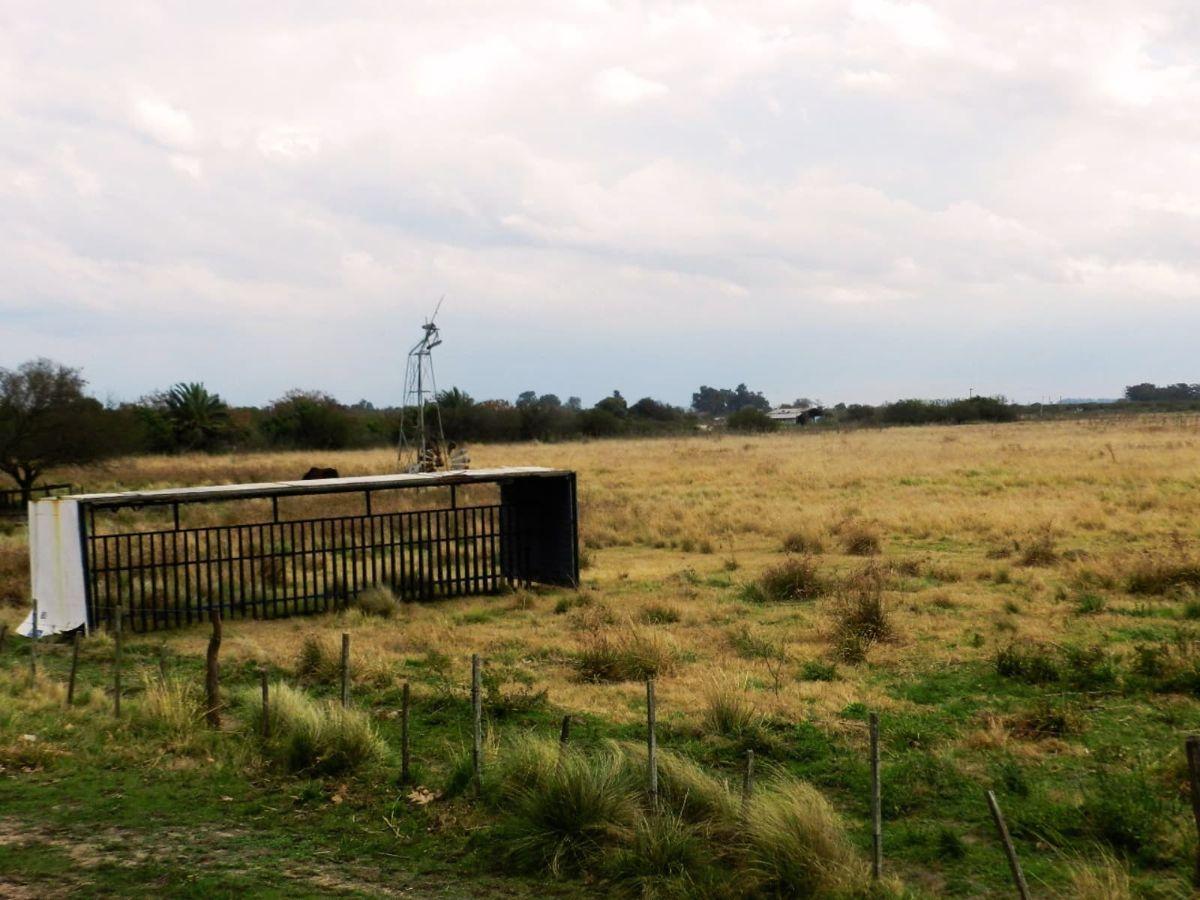 Foto de Venta Campo 7 hectareas, Desvio Arijon, sobre colectora ruta 11, imagen 5