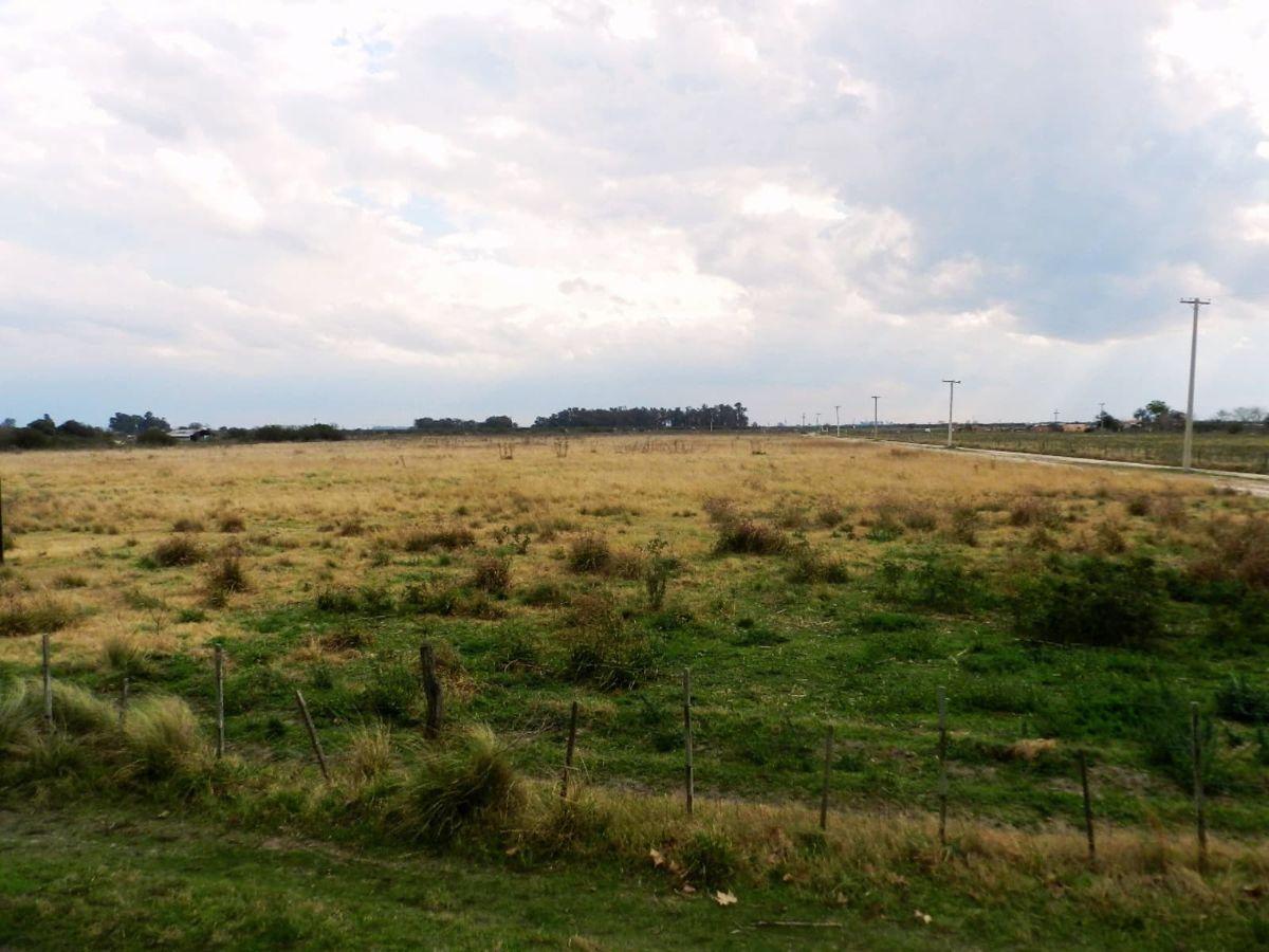 Foto de Venta Campo 7 hectareas, Desvio Arijon, sobre colectora ruta 11, imagen 3