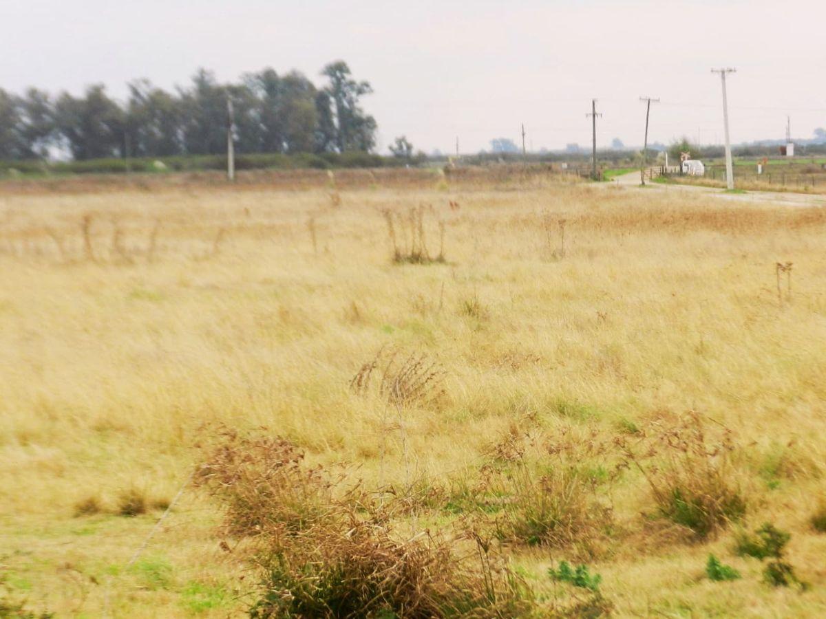 Foto de Venta Campo 7 hectareas, Desvio Arijon, sobre colectora ruta 11, imagen 2