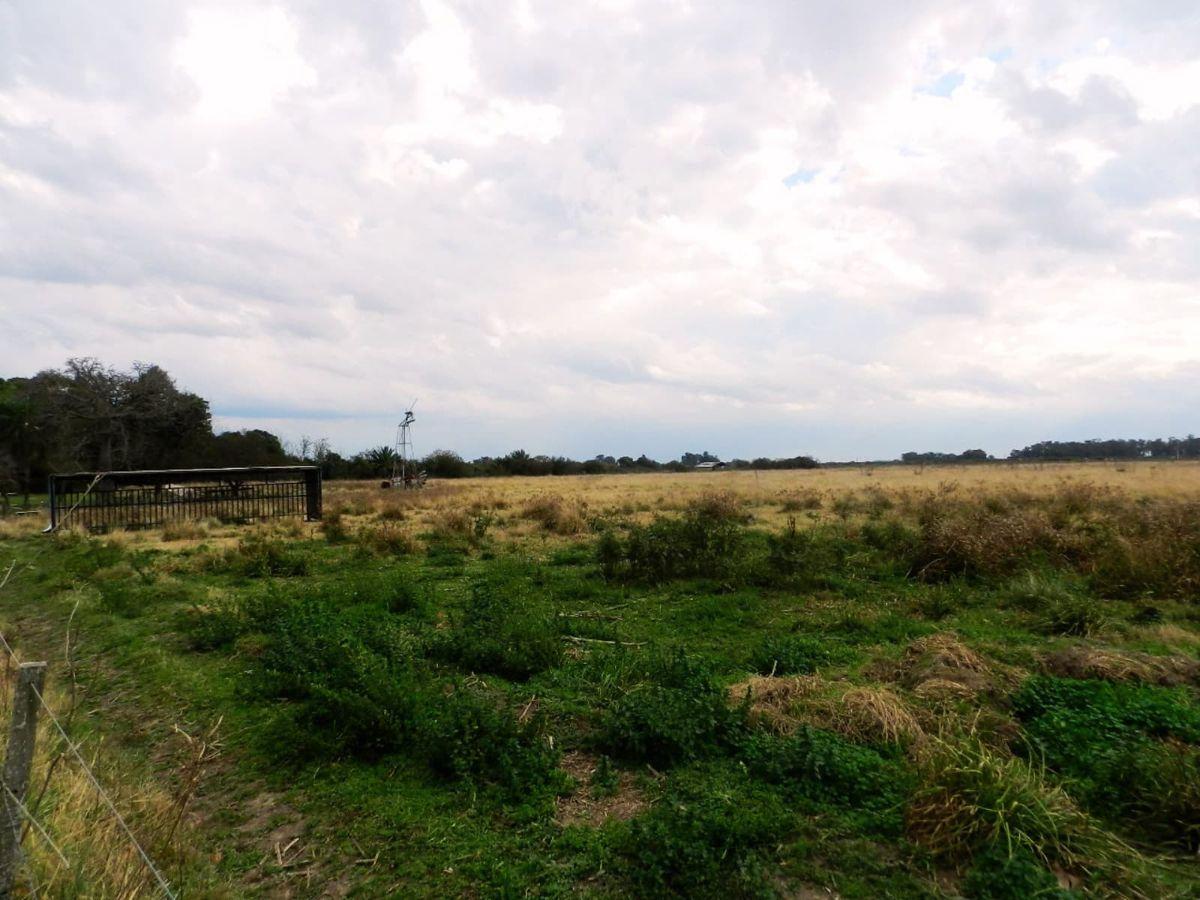 Foto de Venta Campo 7 hectareas, Desvio Arijon, sobre colectora ruta 11, imagen 4