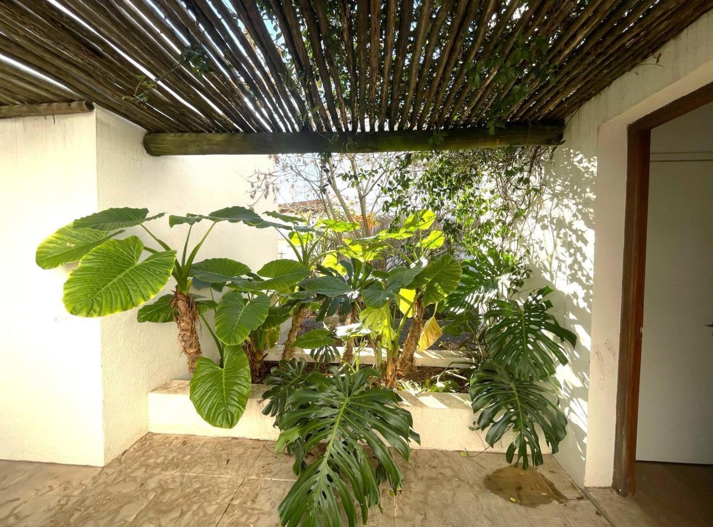 Foto de Casa en venta a la laguna, San Marco Villanueva, Tigre, imagen 5