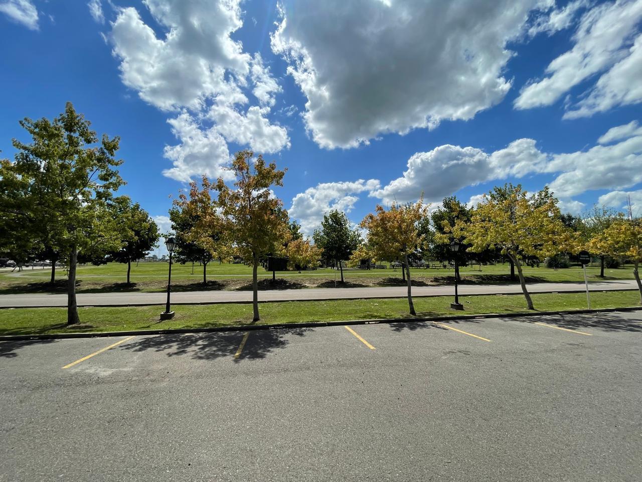 Foto de Terreno en San Sebastian, imagen 3
