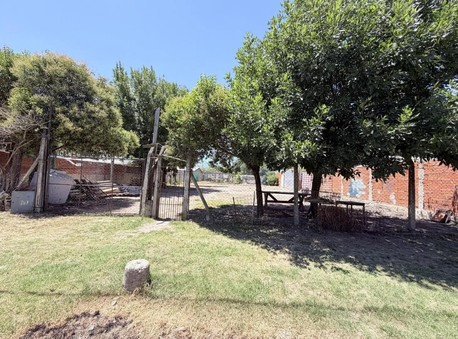 Terreno en Manuel Alberti 8