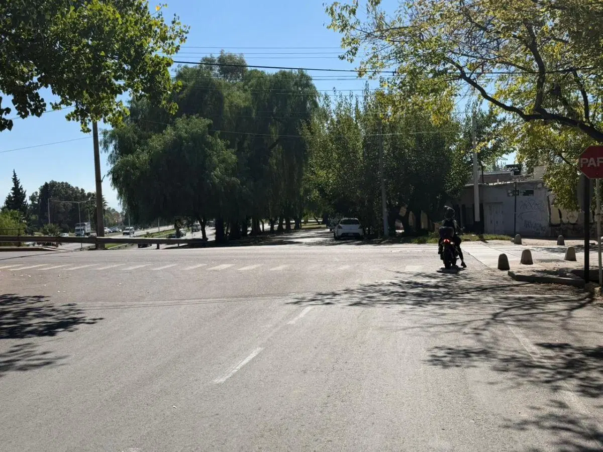 Galpón en alquiler, Dorrego 2